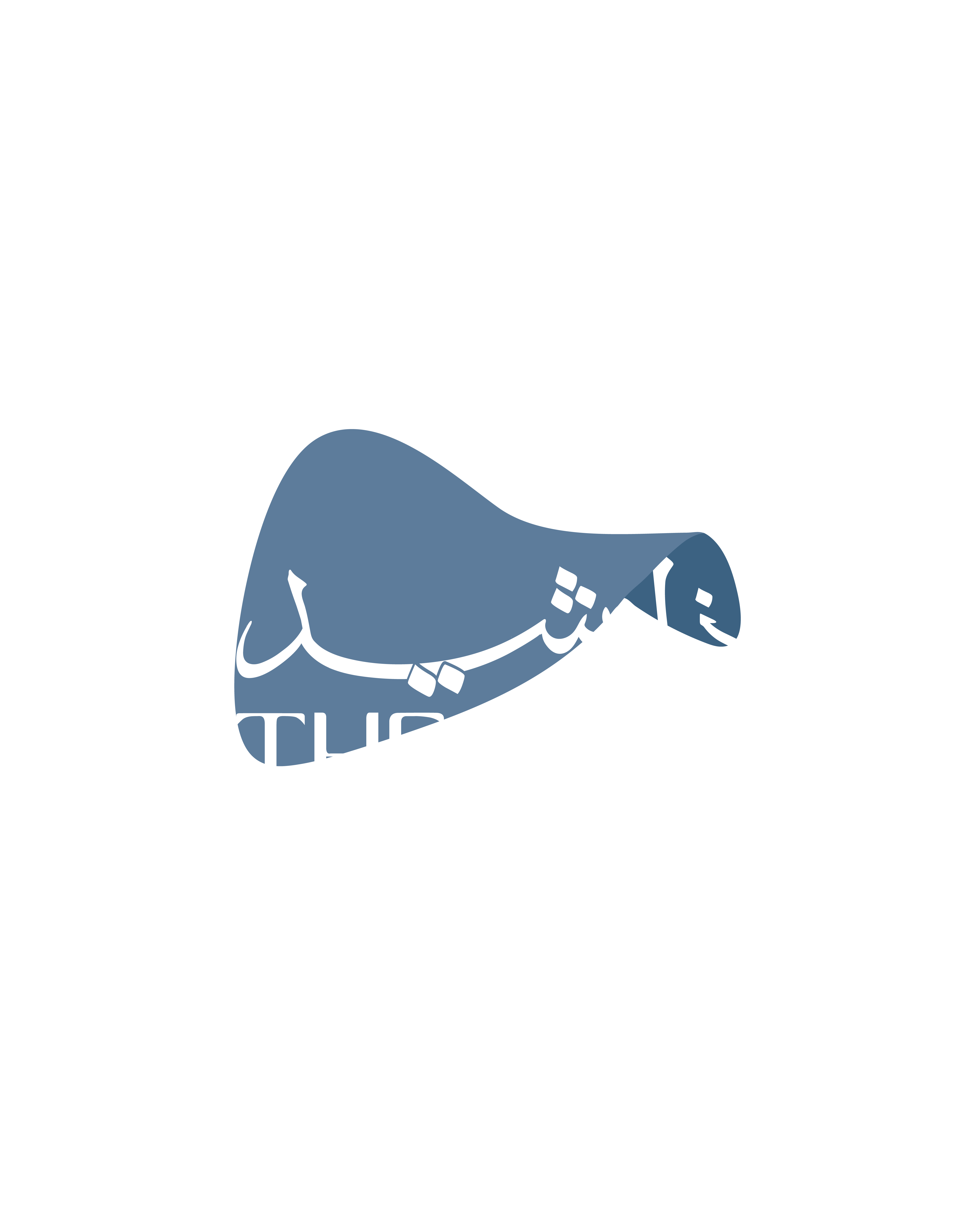 The Shed Logo